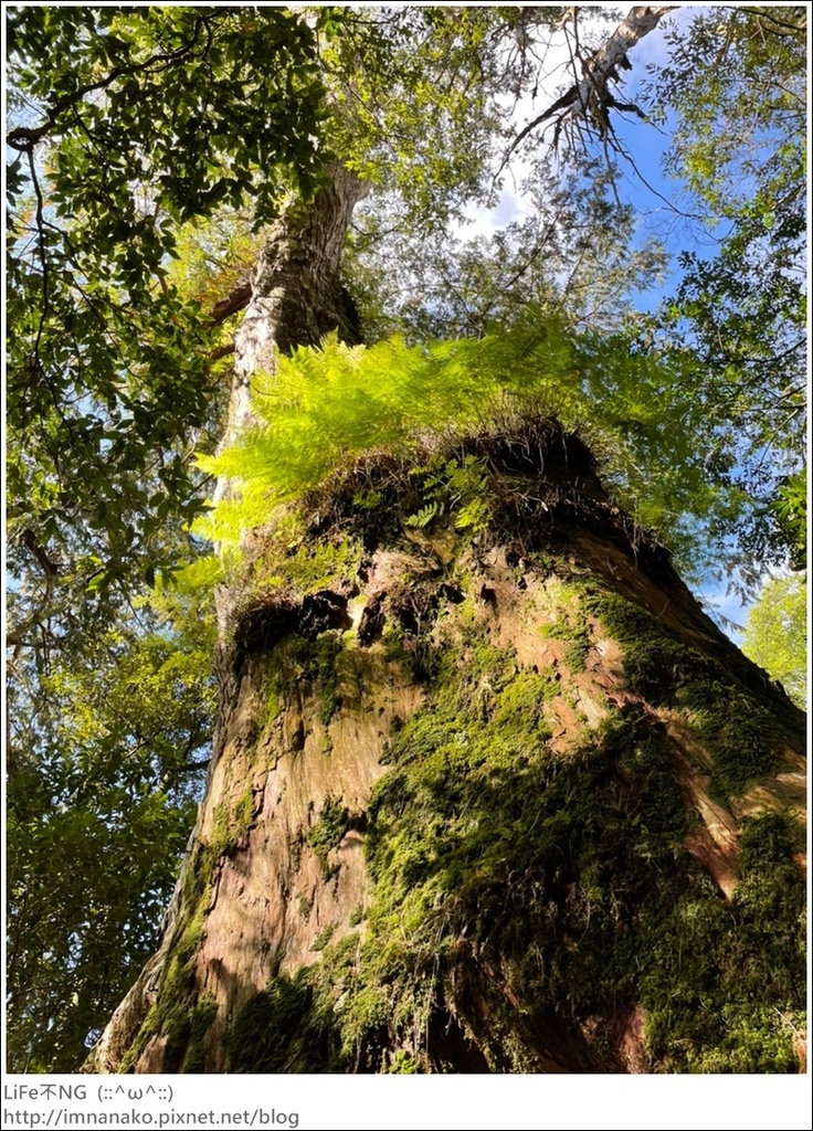 1204_211206_101.jpg 1204_211206_101.jpg