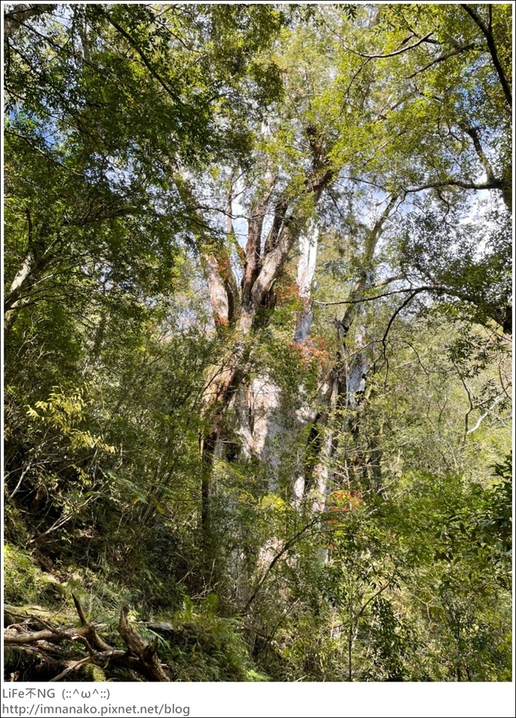 1204_211206_113.jpg 1204_211206_113.jpg