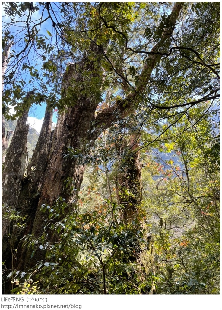 1204_211206_114.jpg 1204_211206_114.jpg