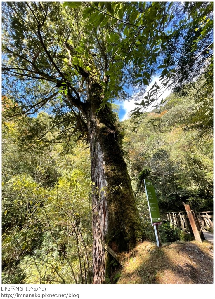 1204_211206_111.jpg 1204_211206_111.jpg