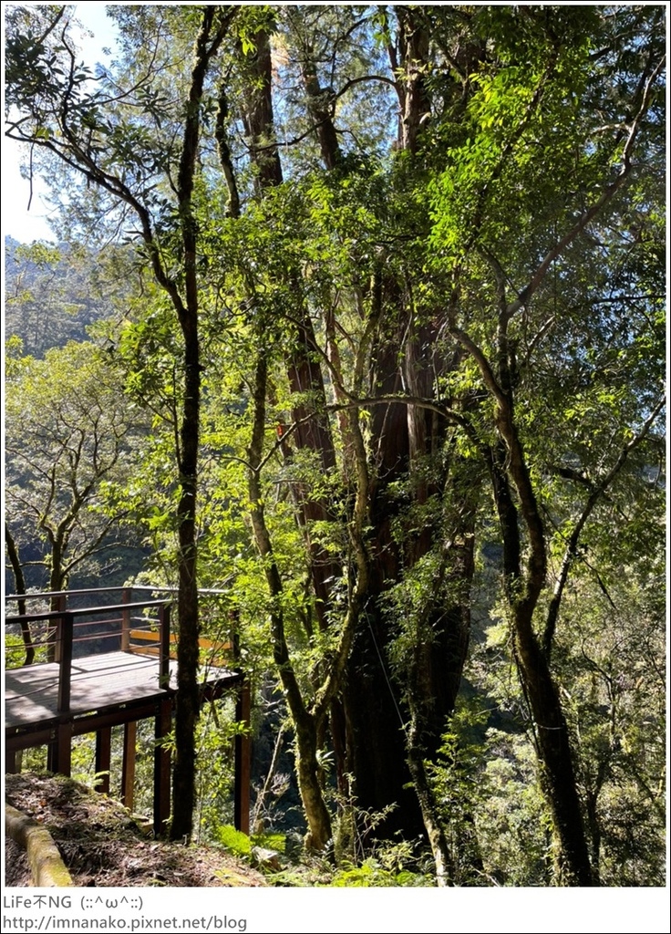 1204_211206_110.jpg 1204_211206_110.jpg