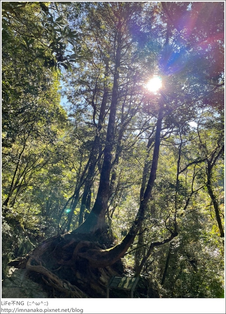 1204_211206_129.jpg 1204_211206_129.jpg