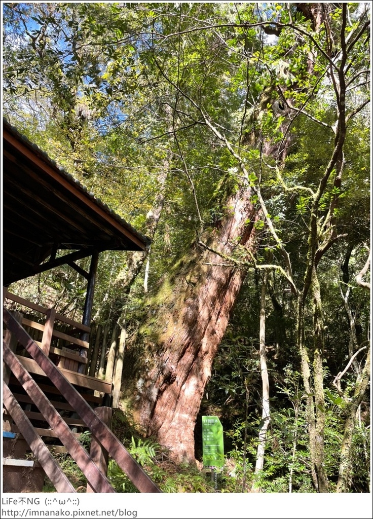 1204_211206_120.jpg 1204_211206_120.jpg