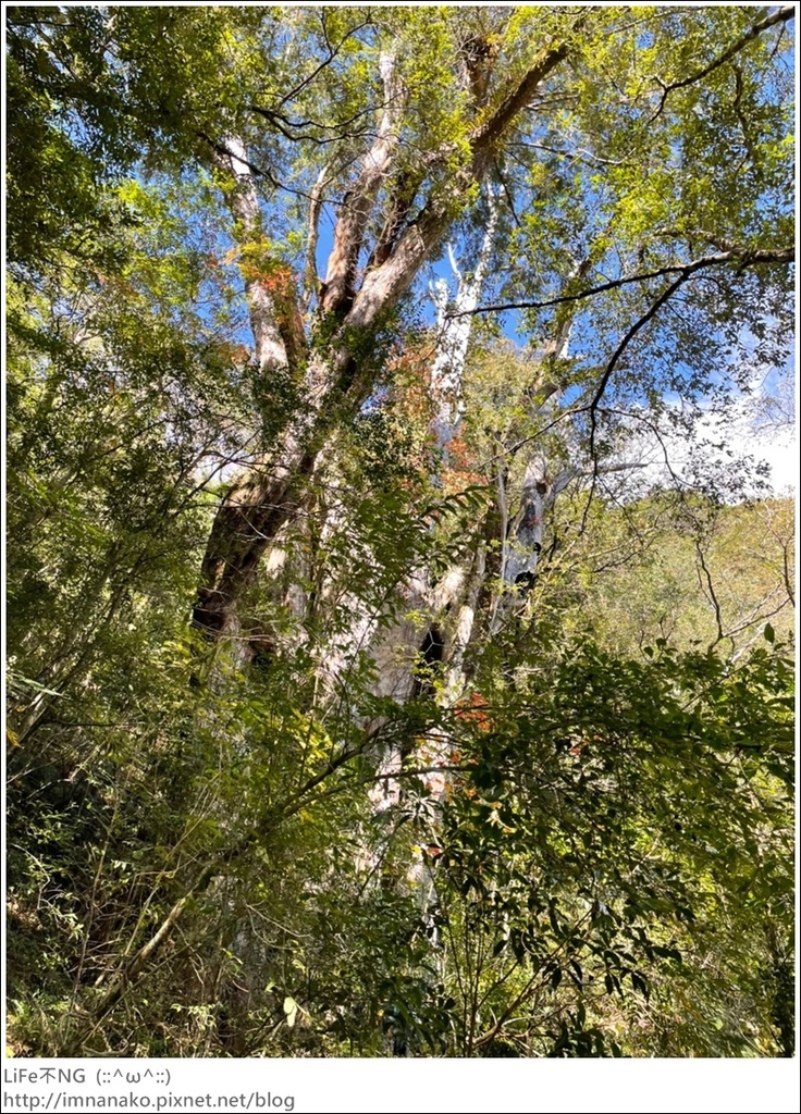 1204_211206_124.jpg 1204_211206_124.jpg