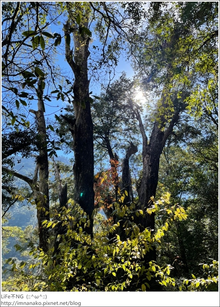 1204_211206_116.jpg 1204_211206_116.jpg