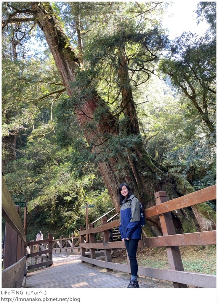 1204_211206_133.jpg 1204_211206_133.jpg