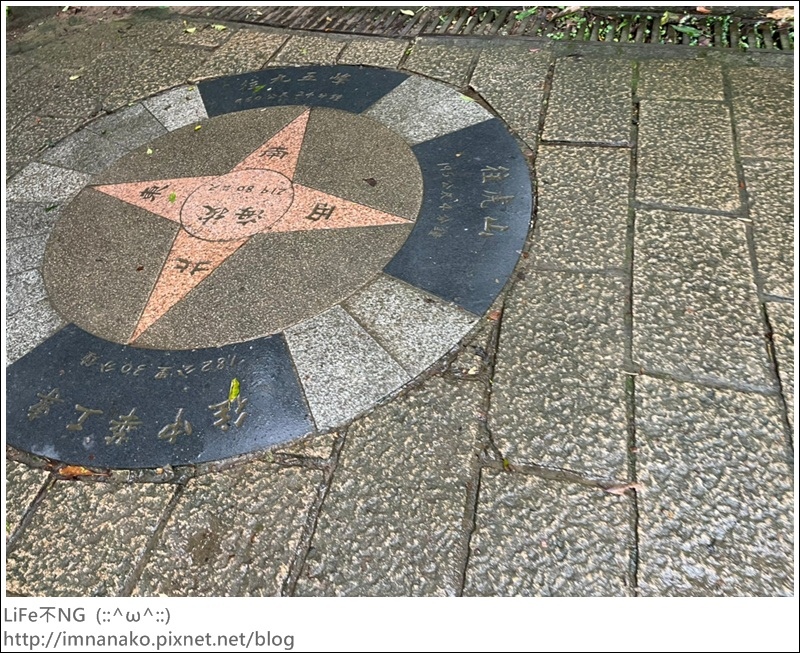 虎虎生風_220207_22.jpg 虎虎生風_220207_22.jpg