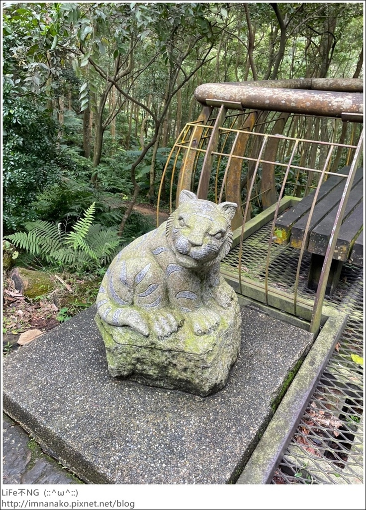 虎虎生風_220207_26.jpg 虎虎生風_220207_26.jpg