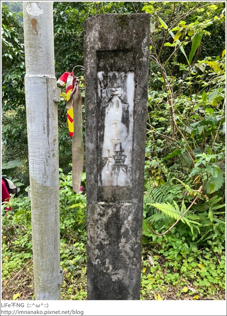 305大刀山_220307_6.jpg 305大刀山_220307_6.jpg