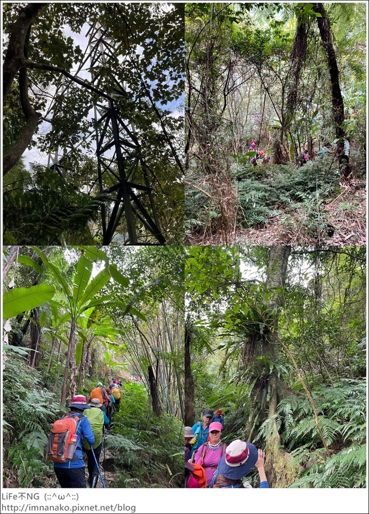 305大刀山_220307_10-tile.jpg 305大刀山_220307_10-tile.jpg