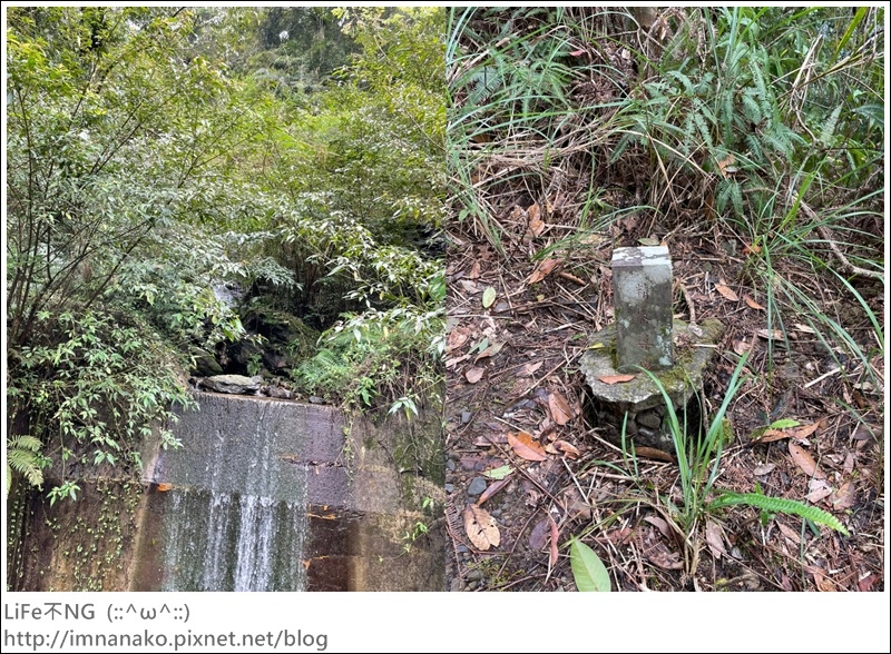 305大刀山_220307_44-tile.jpg 305大刀山_220307_44-tile.jpg