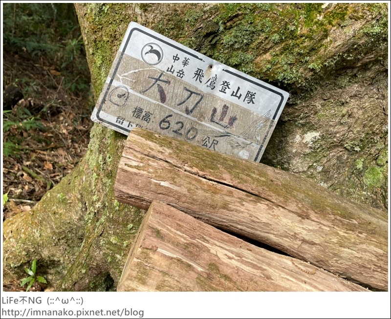 305大刀山_220307_35.jpg 305大刀山_220307_35.jpg