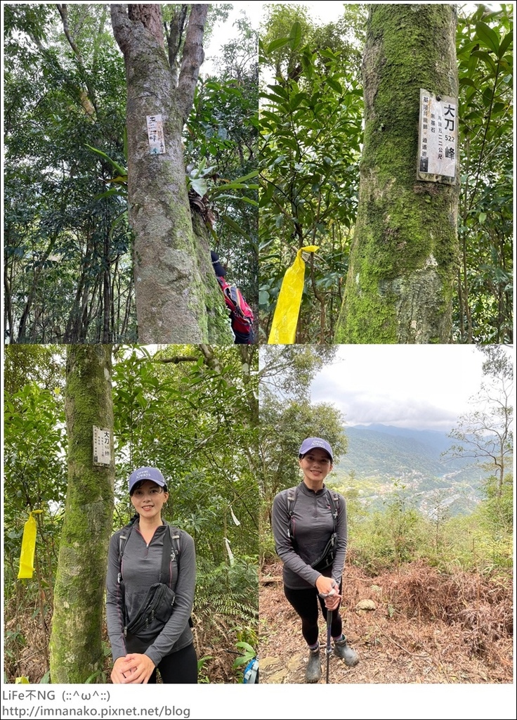 305大刀山_220307_18-tile.jpg 305大刀山_220307_18-tile.jpg