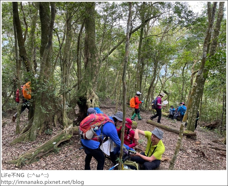 305大刀山_220307_39.jpg 305大刀山_220307_39.jpg