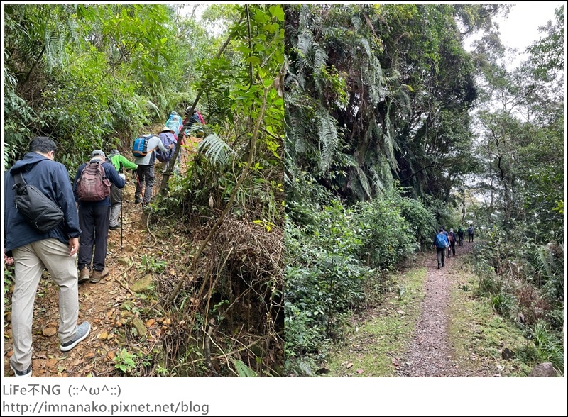 305大刀山_220307_46-tile.jpg 305大刀山_220307_46-tile.jpg