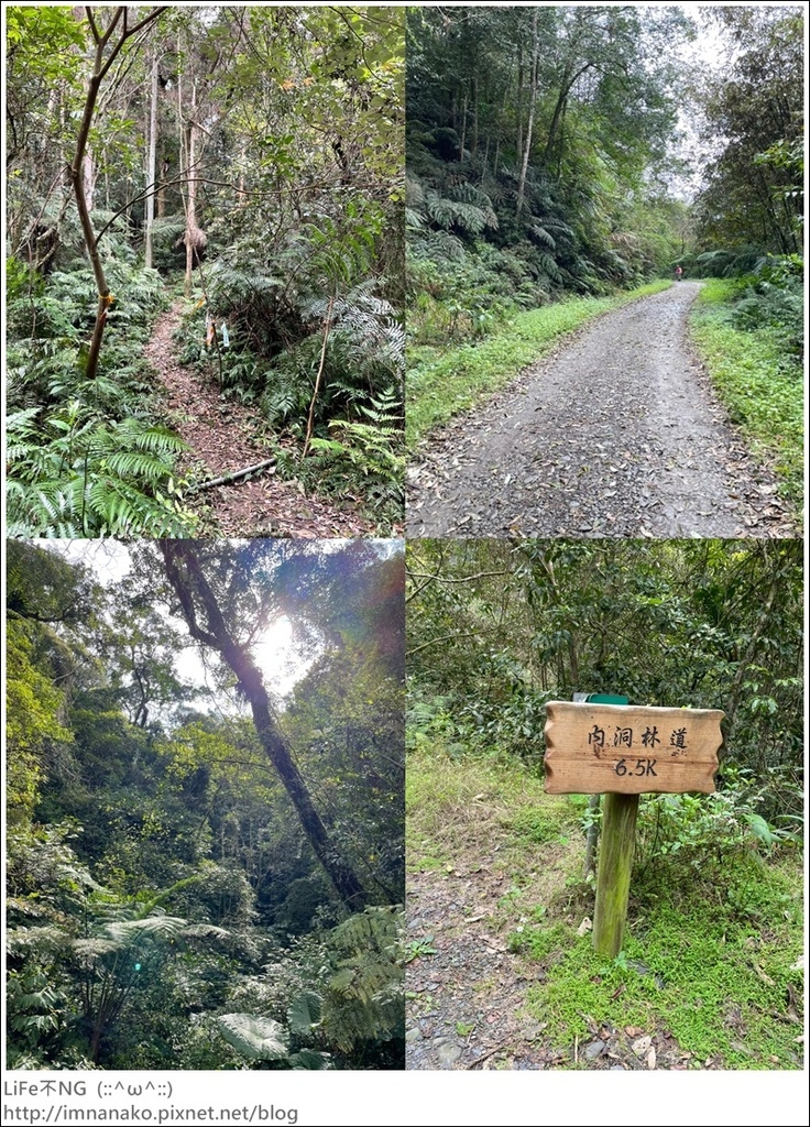 305大刀山_220307_40-tile.jpg 305大刀山_220307_40-tile.jpg