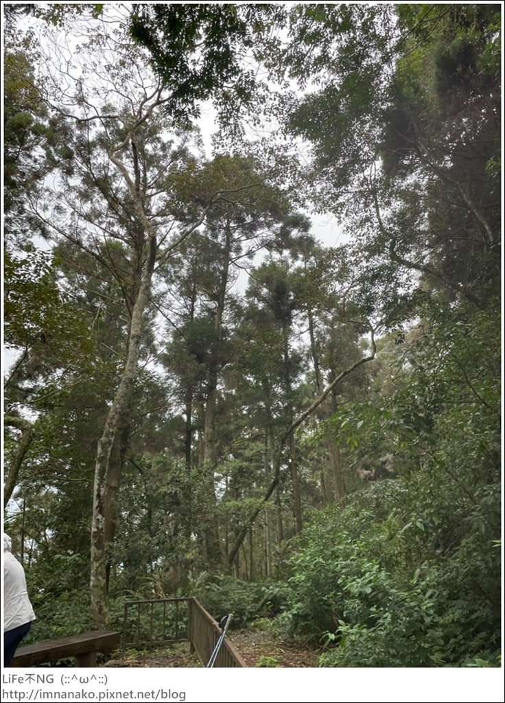 305大刀山_220307_58.jpg 305大刀山_220307_58.jpg