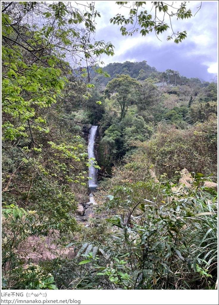 305大刀山_220307_65.jpg 305大刀山_220307_65.jpg