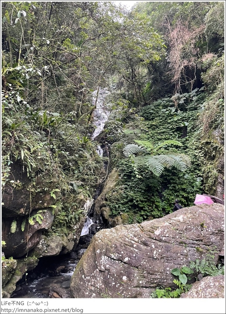 305大刀山_220307_69.jpg 305大刀山_220307_69.jpg