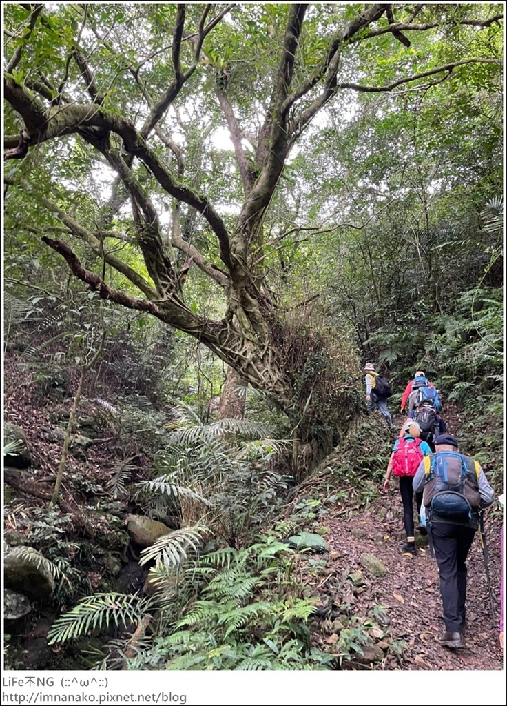 430外澳_220503_14.jpg 430外澳_220503_14.jpg