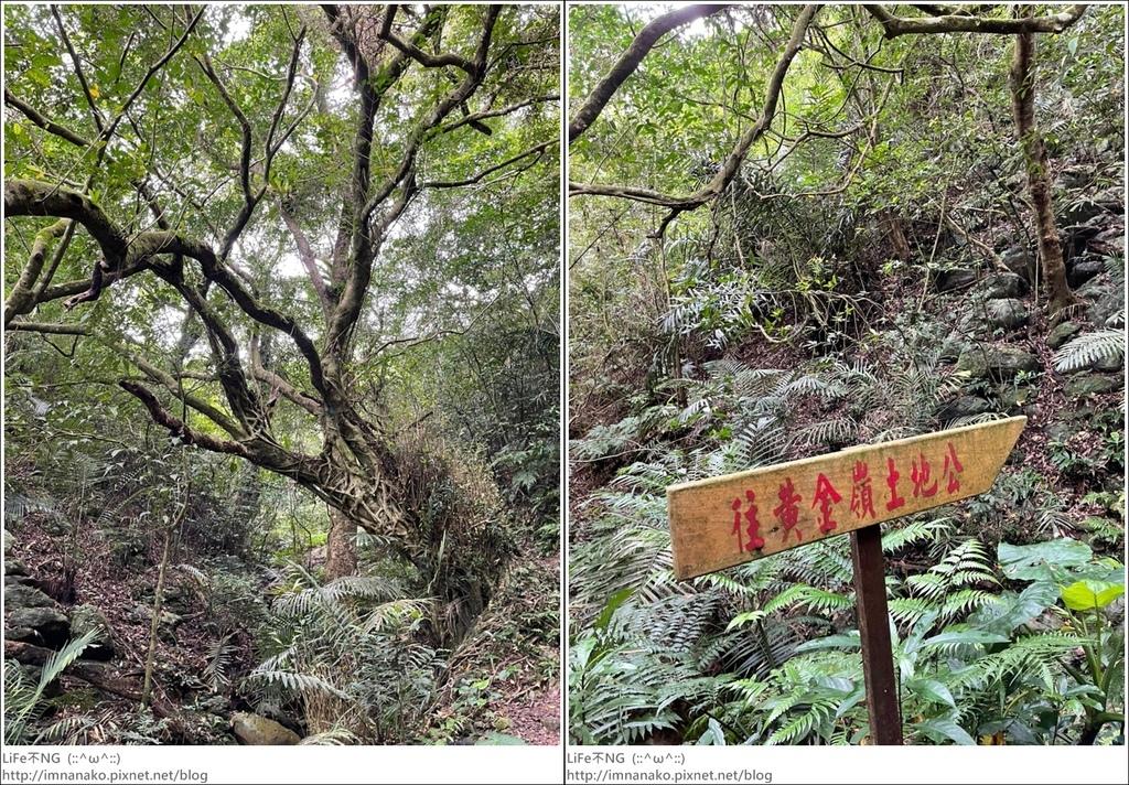 430外澳_220503_12-tile.jpg 430外澳_220503_12-tile.jpg