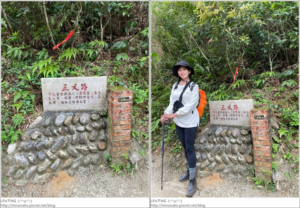 430外澳_220503_15-tile.jpg 430外澳_220503_15-tile.jpg