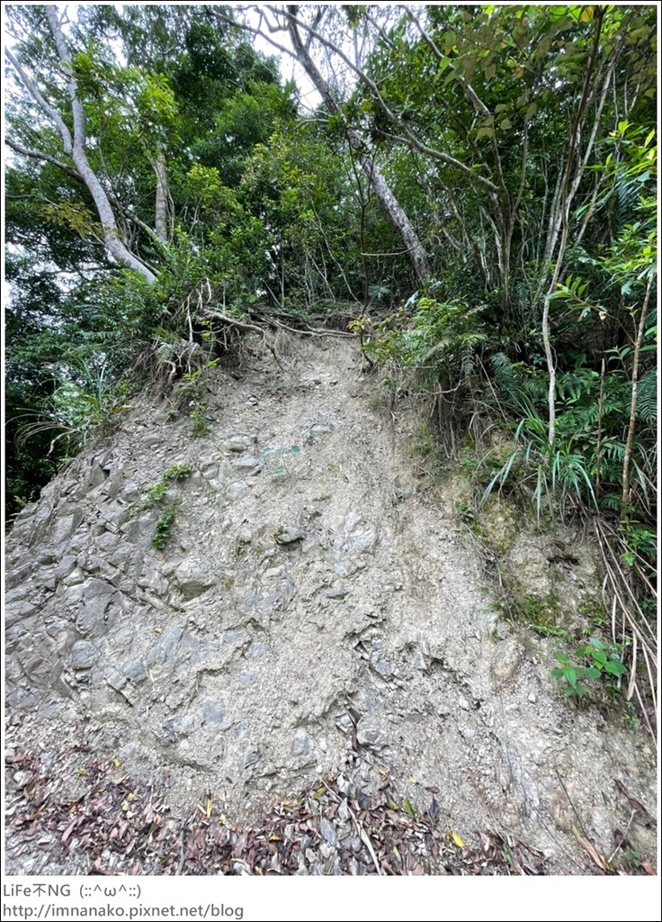 430外澳_220503_23.jpg 430外澳_220503_23.jpg