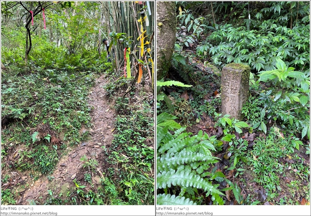 430外澳_220503_28-tile.jpg 430外澳_220503_28-tile.jpg