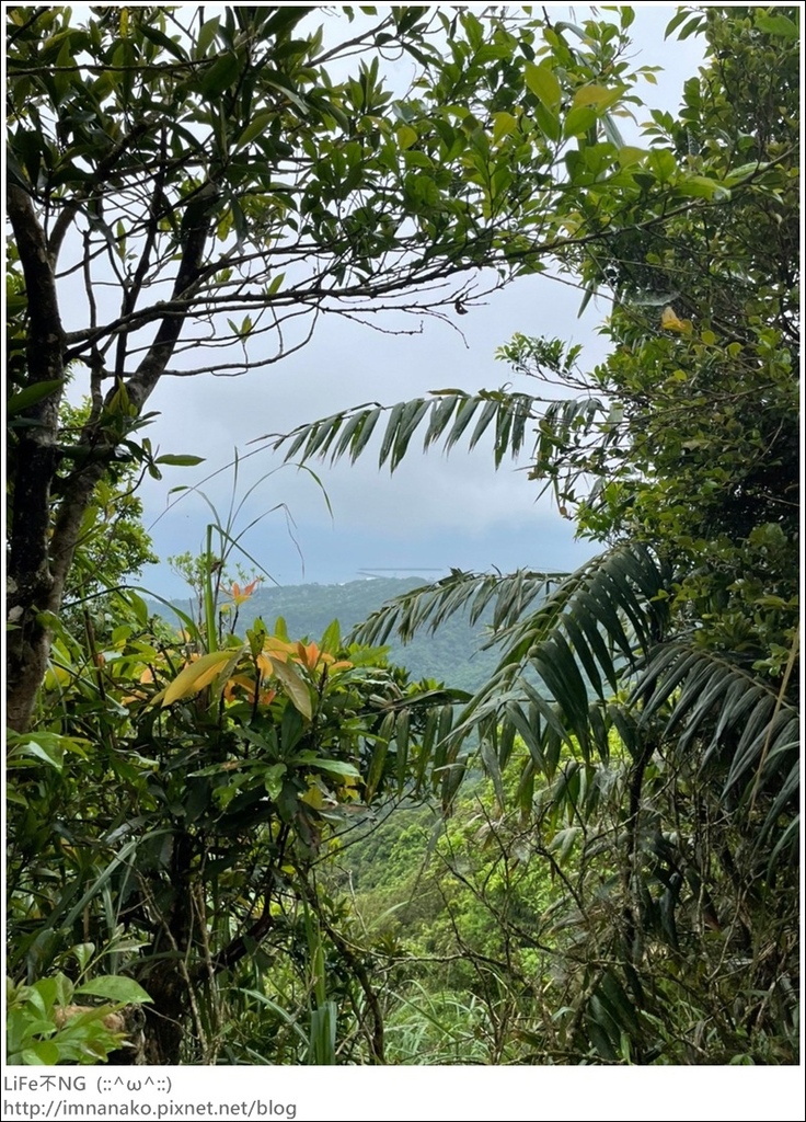 430外澳_220503_35.jpg 430外澳_220503_35.jpg