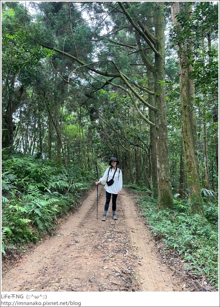 430外澳_220503_48.jpg 430外澳_220503_48.jpg