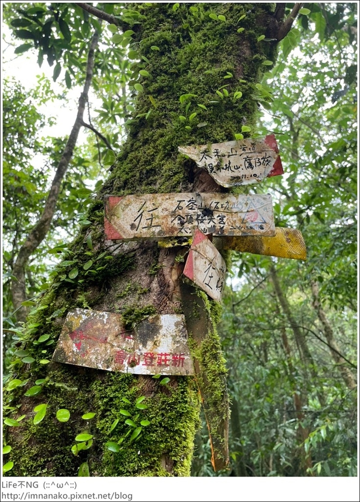 430外澳_220503_44.jpg 430外澳_220503_44.jpg