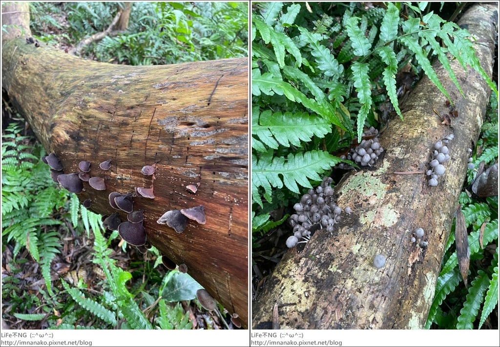 430外澳_220503_50-tile.jpg 430外澳_220503_50-tile.jpg