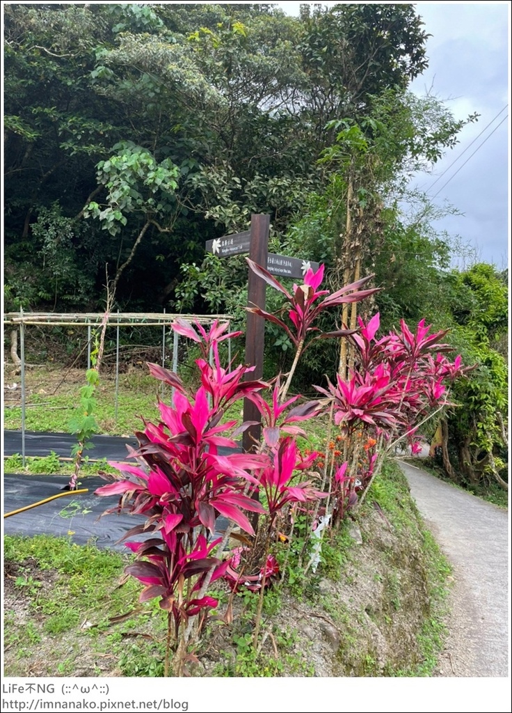 430外澳_220503_55.jpg 430外澳_220503_55.jpg