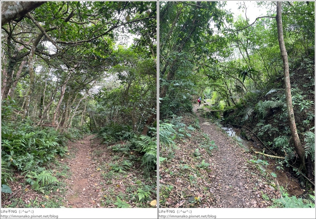 430外澳_220503_59-tile.jpg 430外澳_220503_59-tile.jpg