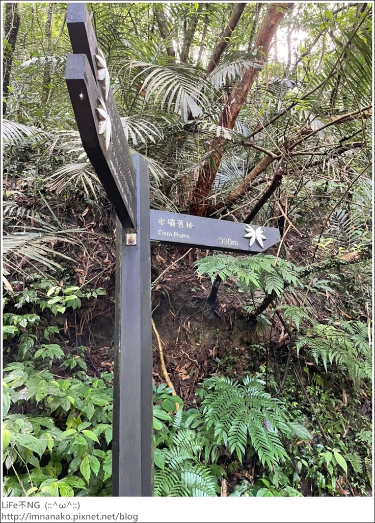 搭火車爬山_220620_66.jpg 搭火車爬山_220620_66.jpg