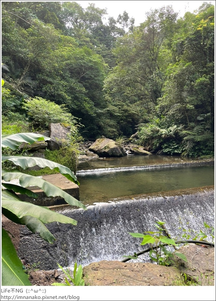 搭火車爬山_220620_65.jpg 搭火車爬山_220620_65.jpg