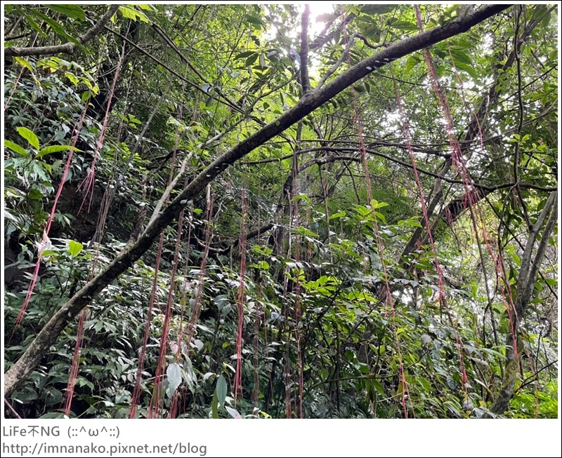 搭火車爬山_220620_71.jpg 搭火車爬山_220620_71.jpg