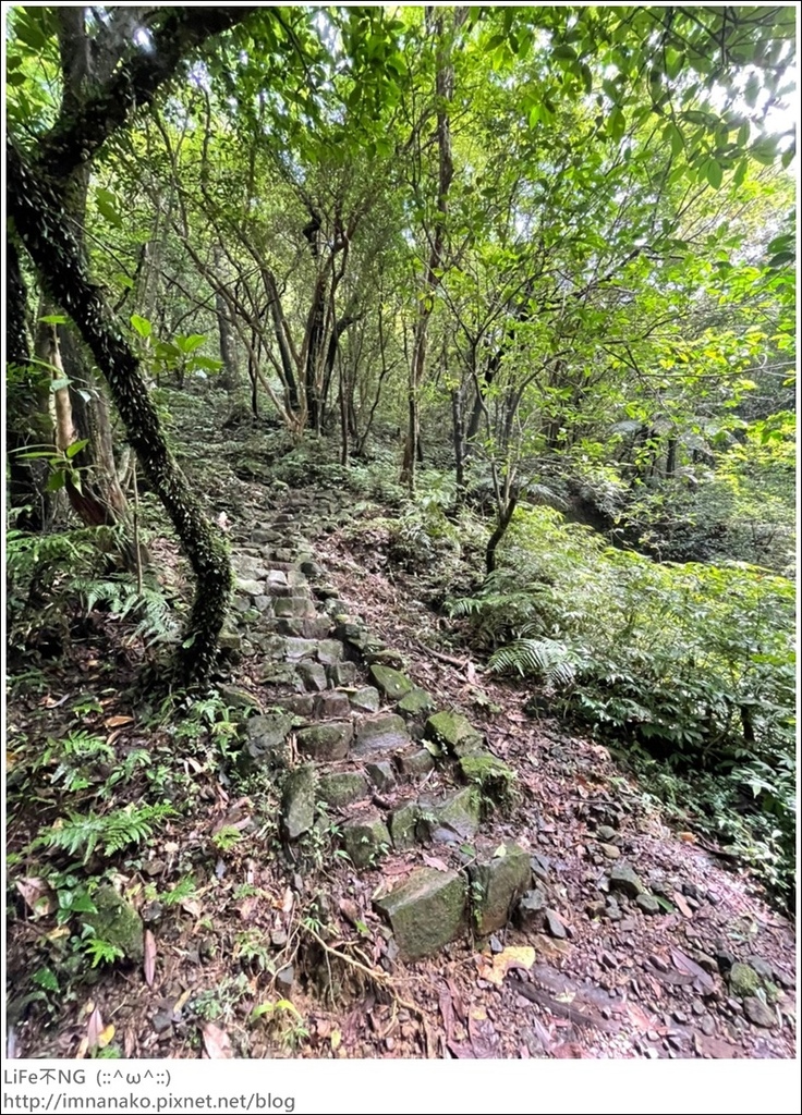 搭火車爬山_220620_72.jpg 搭火車爬山_220620_72.jpg