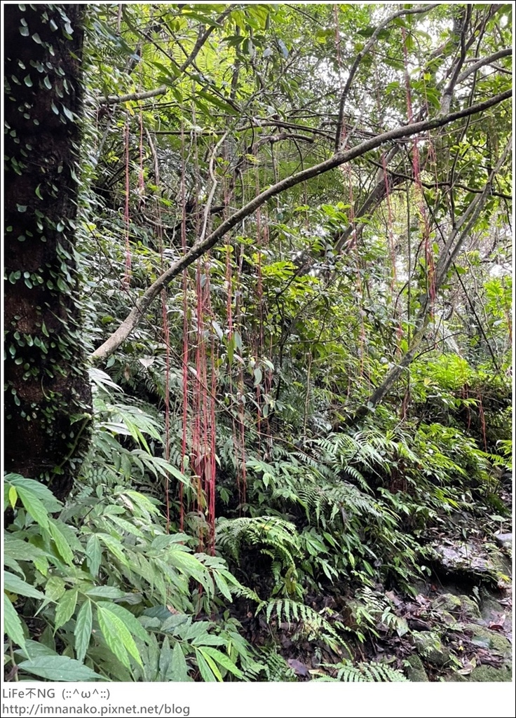 搭火車爬山_220620_70.jpg 搭火車爬山_220620_70.jpg