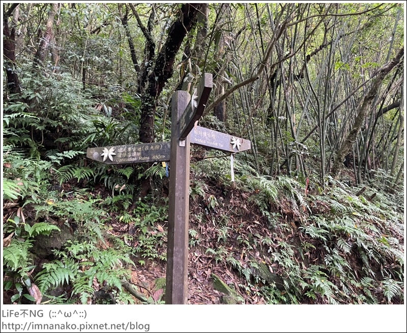 搭火車爬山_220620_73.jpg 搭火車爬山_220620_73.jpg