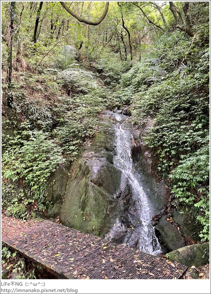 搭火車爬山_220620_76.jpg 搭火車爬山_220620_76.jpg