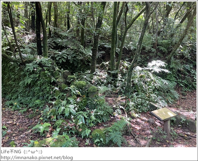 搭火車爬山_220620_78.jpg 搭火車爬山_220620_78.jpg