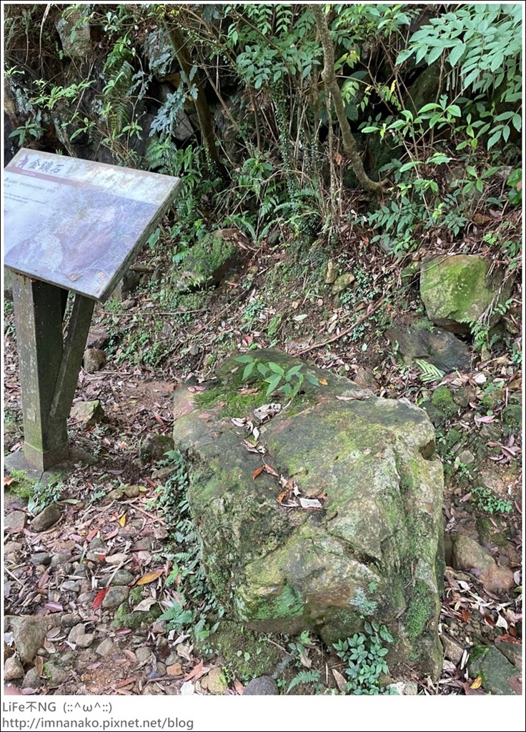 搭火車爬山_220620_109.jpg 搭火車爬山_220620_109.jpg