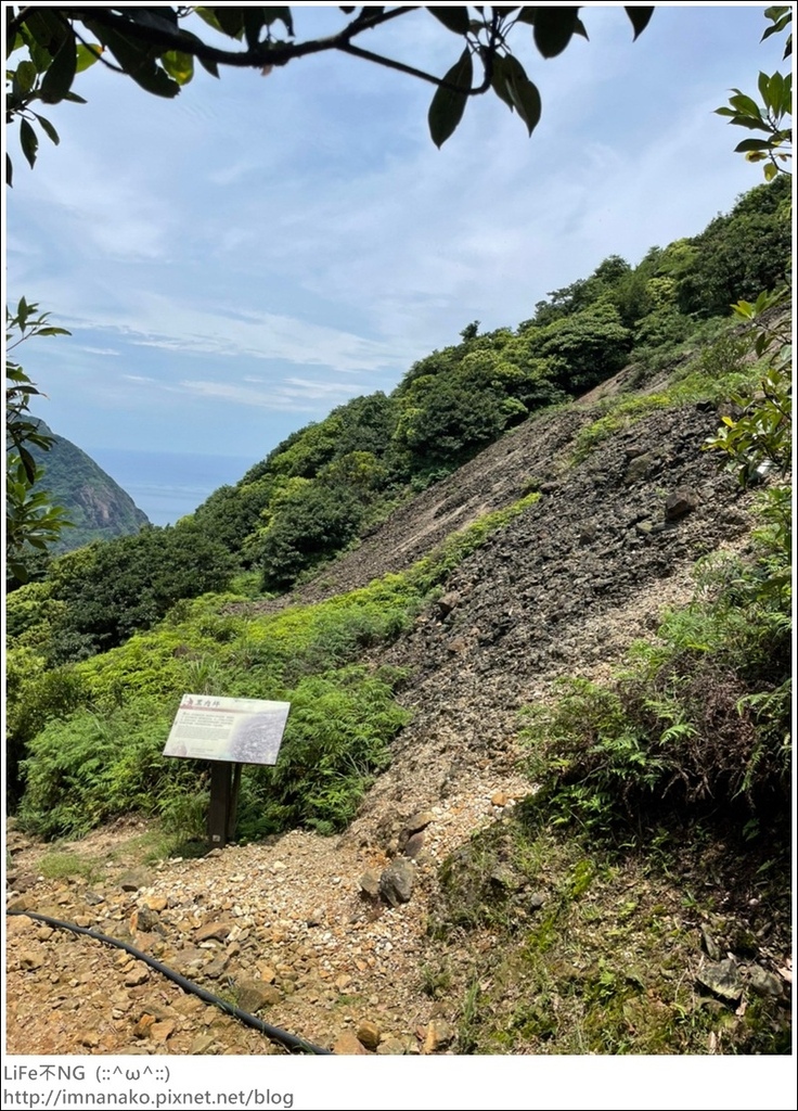 搭火車爬山_220620_110.jpg 搭火車爬山_220620_110.jpg