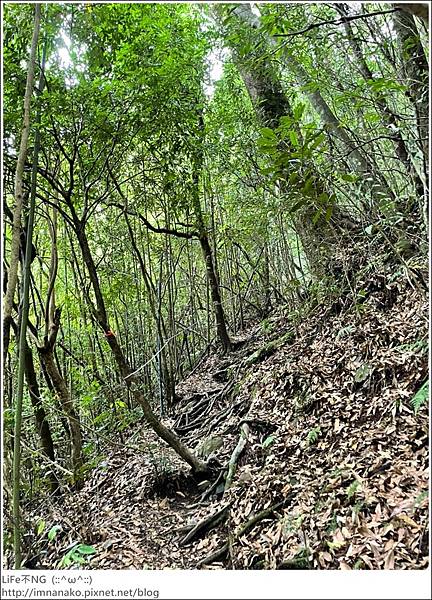 李棟山_220810_78.jpg 李棟山_220810_78.jpg