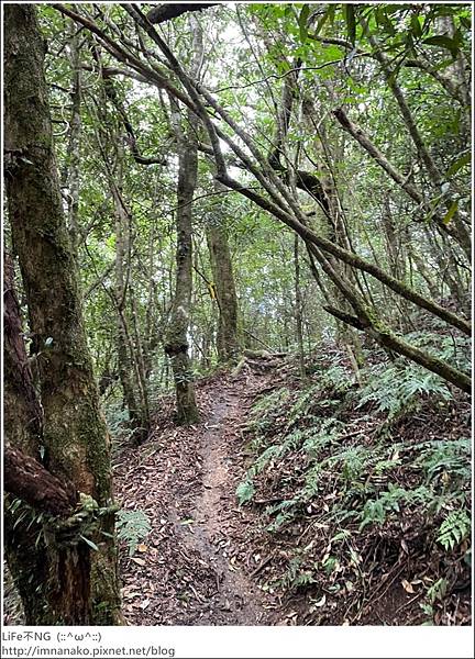 李棟山_220810_79.jpg 李棟山_220810_79.jpg