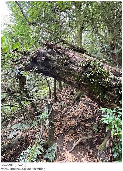 李棟山_220810_81.jpg 李棟山_220810_81.jpg