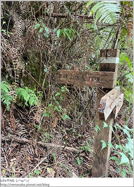 李棟山_220810_83.jpg 李棟山_220810_83.jpg