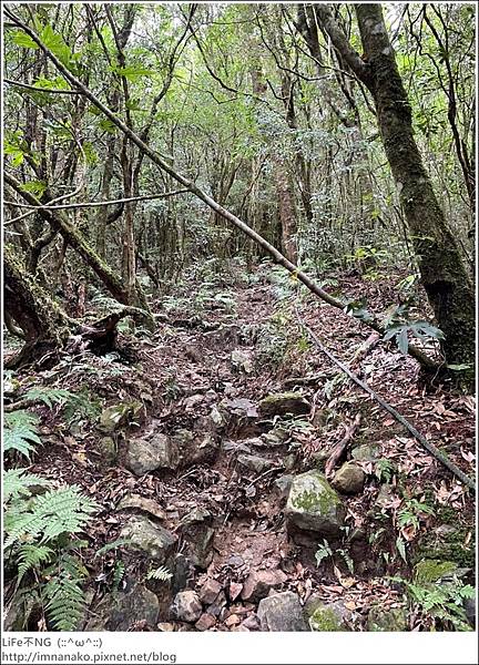 李棟山_220810_82.jpg 李棟山_220810_82.jpg