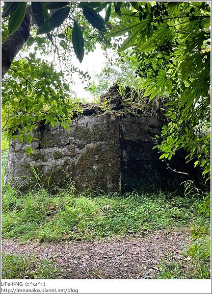 李棟山_220810_85.jpg 李棟山_220810_85.jpg